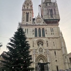 Okićen bor ispred Zagrebačke katedrale